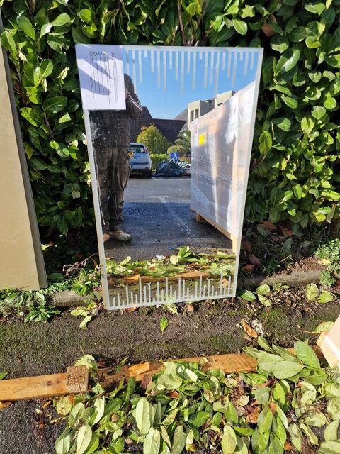 miroir 120 par 70 Saint-Brieuc (22)