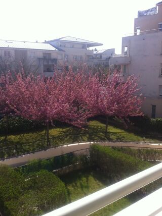  Appartement  vendre 1 pice 31 m