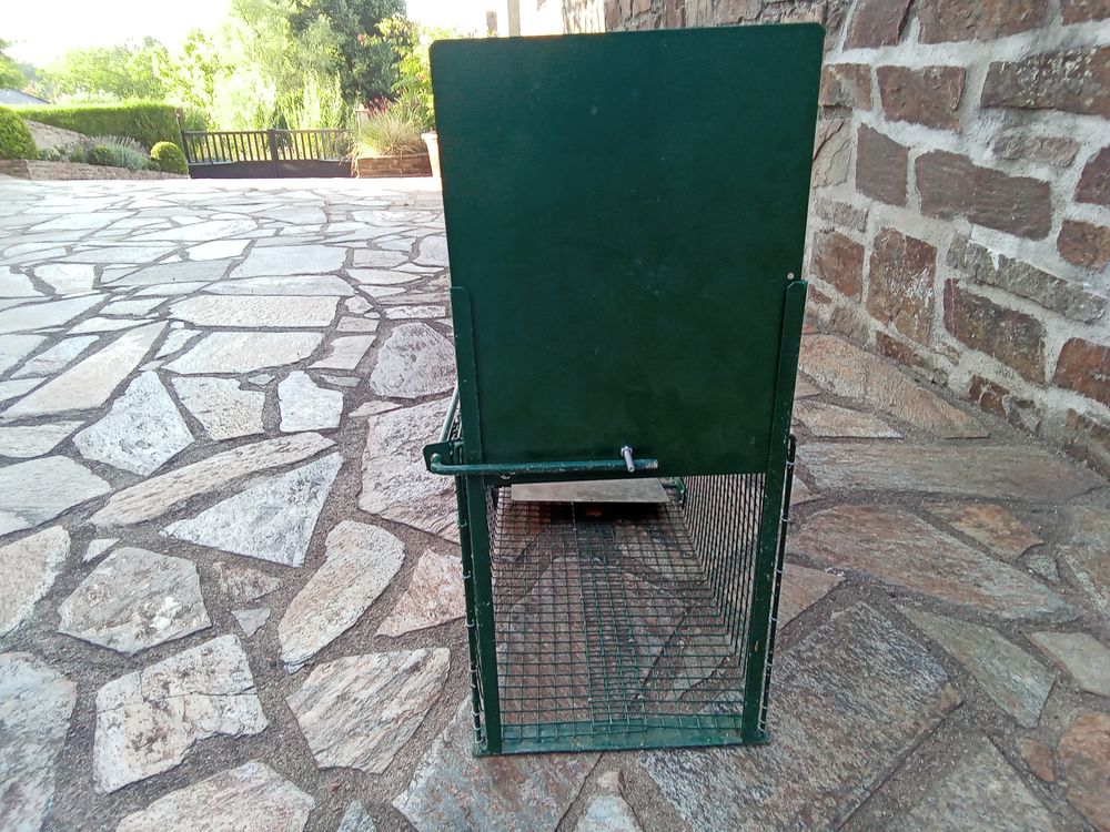  CAGE DE REPRISE Bricolage