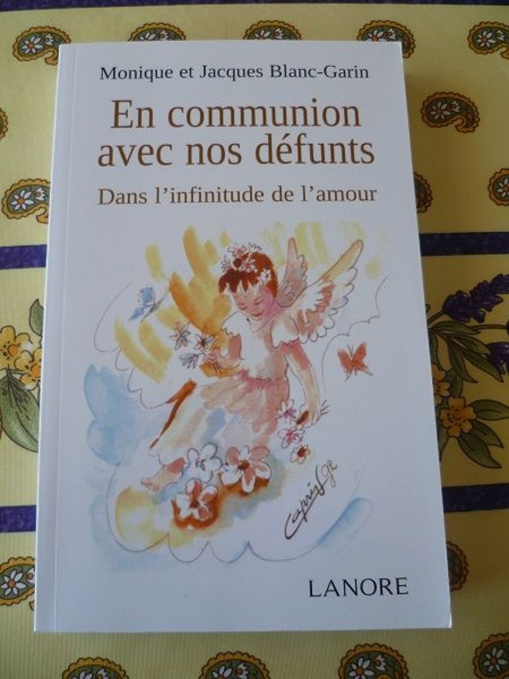 Livre communion avec d&eacute;funts blanc garin ange &eacute;soterisme Livres et BD