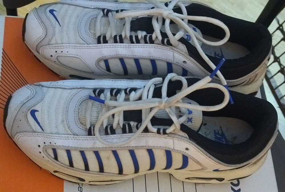 Basket Air Max bleu et blanc Chaussures