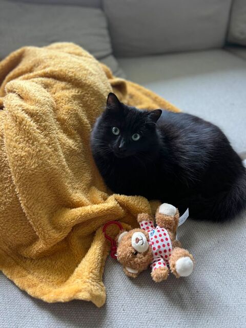 Curcuma 200 44000 Nantes