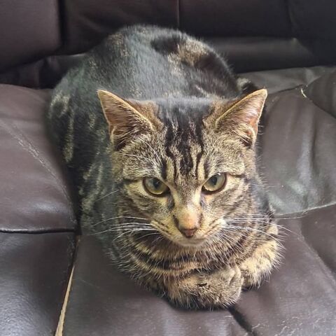 LILY 180 26760 Beaumont-l�s-valence