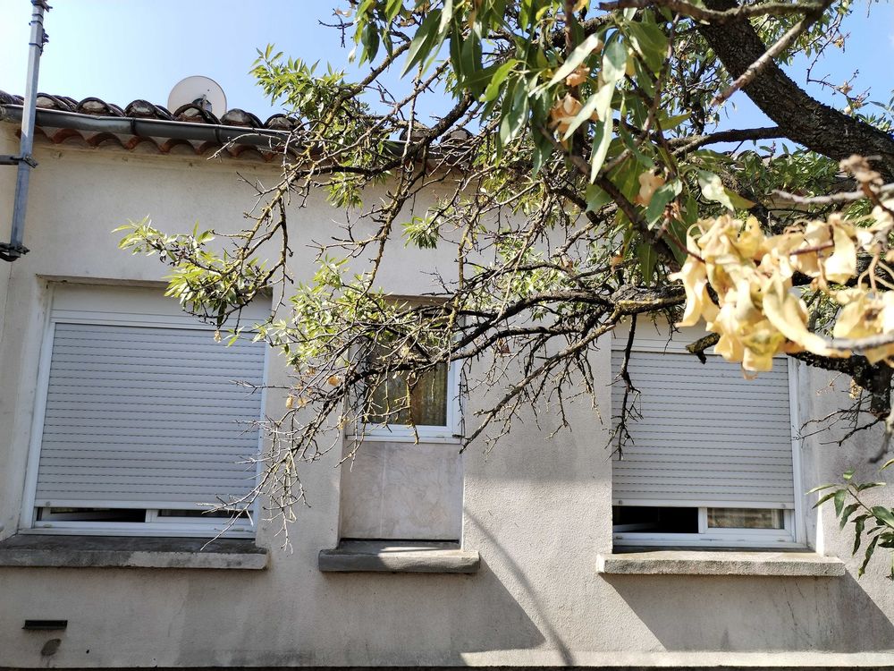 Vente Maison maison T4 plain-pied sans vis-à    -vis terrain Carcassonne