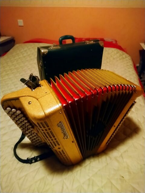 La Maison De Laccordeon Occasion