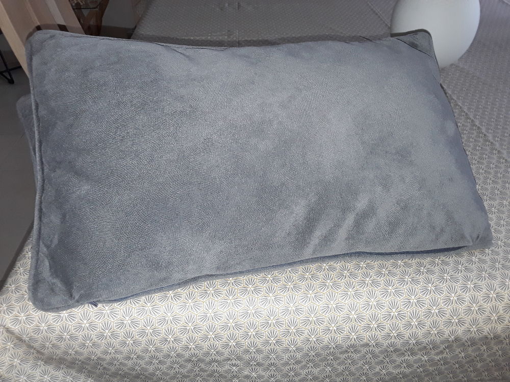 2 jolis coussins tbe Décoration