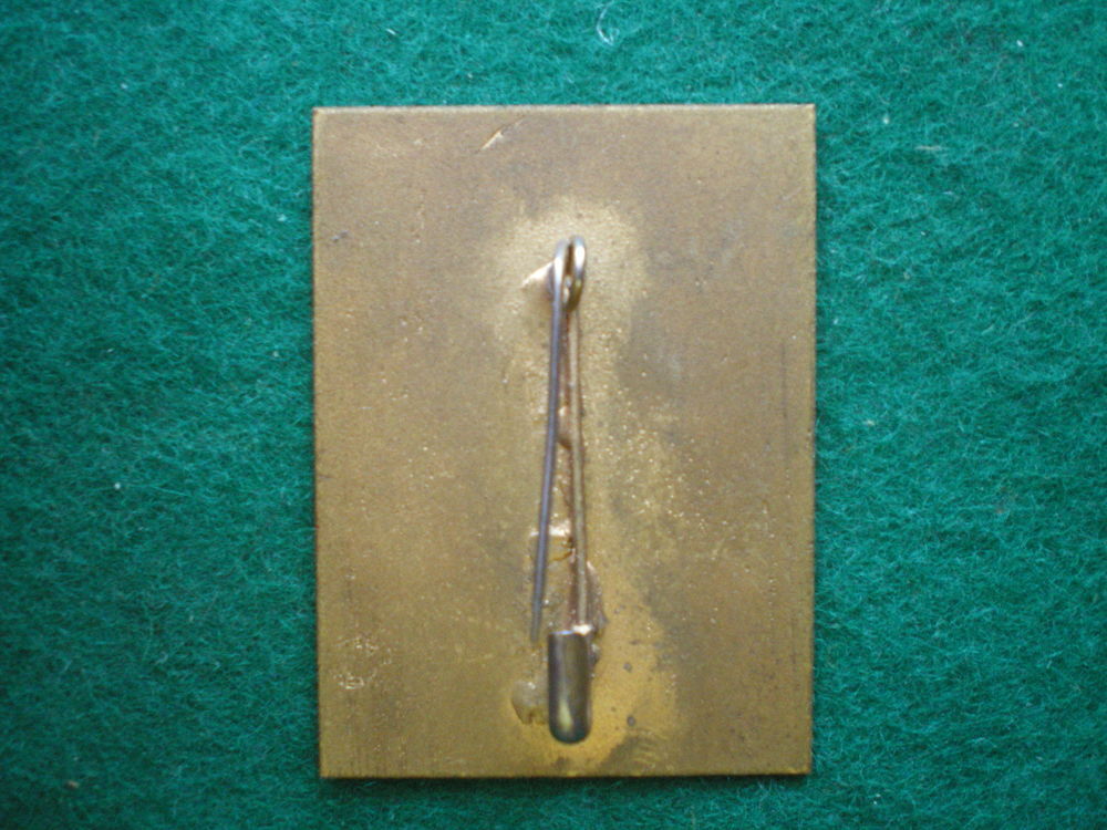 Insigne de Sant&eacute; - Antenne Chirurgicale 31&deg; Brigade. 