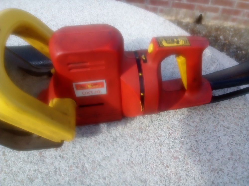 TAILLES HAIES ELECTRIQUE Jardin