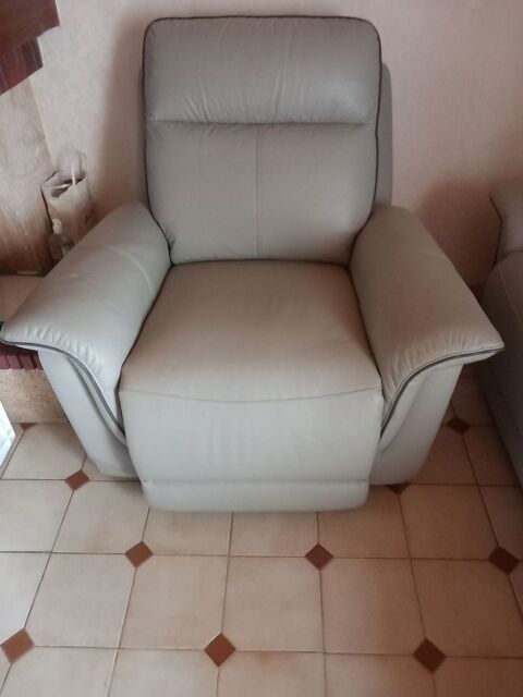 fauteuil cuir SUNDY 100 Marans (17)