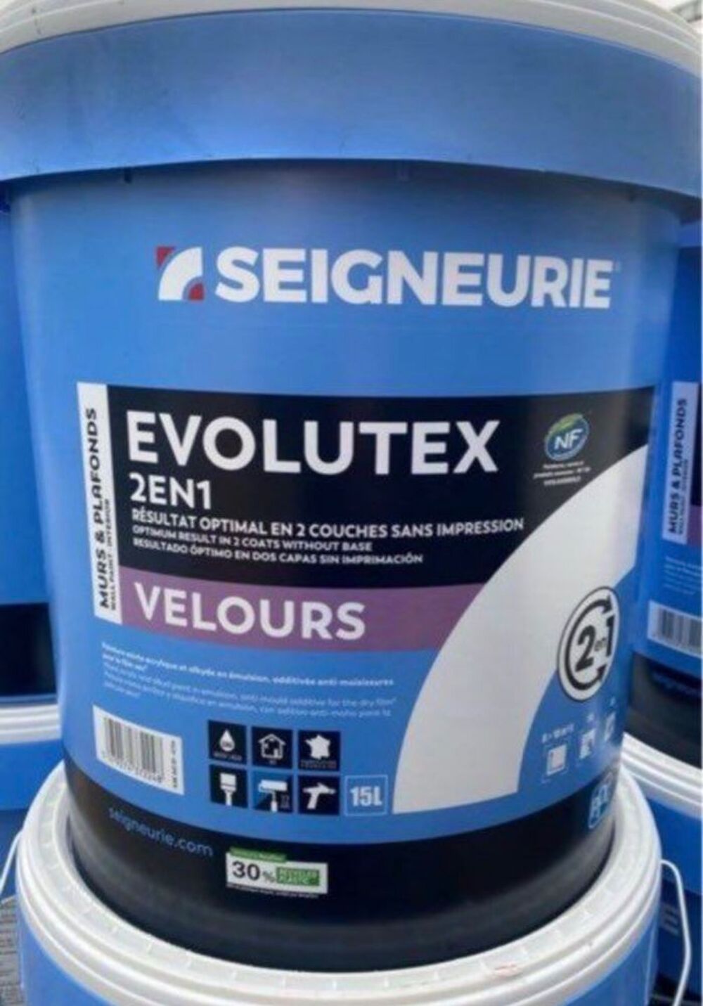 Peinture seigneurie evolutex Bricolage