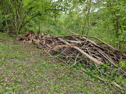 Bois de chauffage 0 Montigny-le-Gannelon (28)