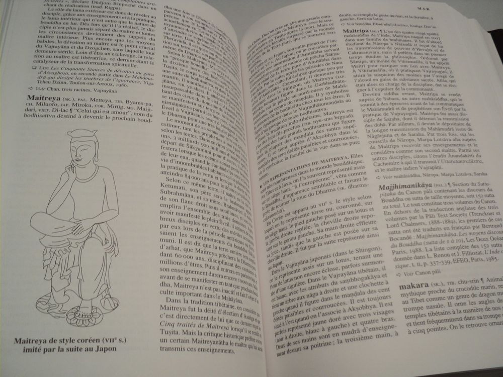DICTIONNAIRE ENCYCLOP&Eacute;DIQUE DU BOUDDHISME
Livres et BD