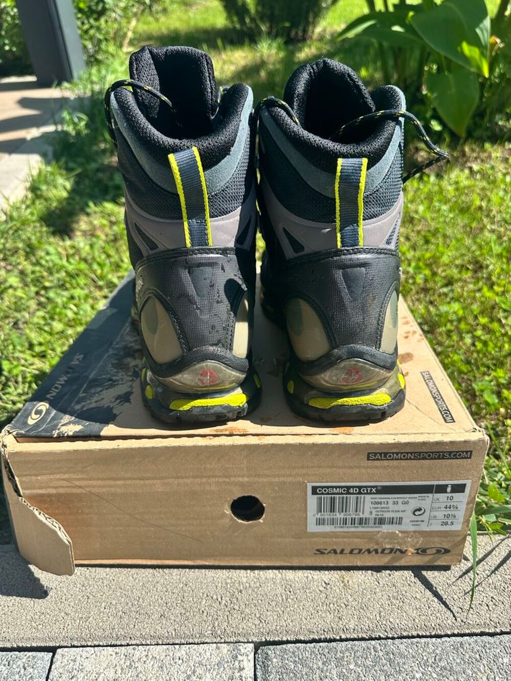 Chaussures Sports