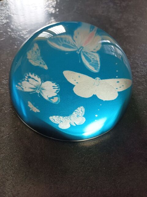 Sulfure ou presse papier 14 Saint-Amant-Tallende (63)