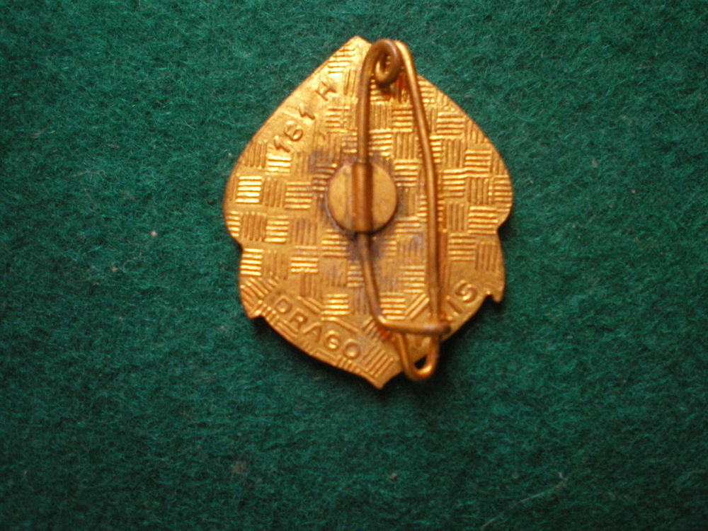 Insigne colonial - R&eacute;giment de Marche du TCHAD. 