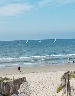 Location  Appartement 