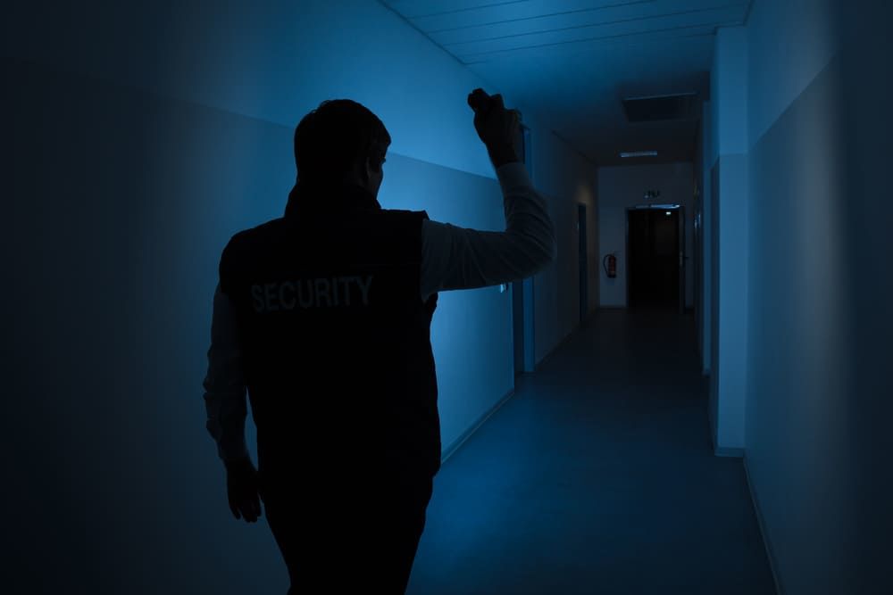   VEILLEUR DE NUIT - SURVEILLANCE 