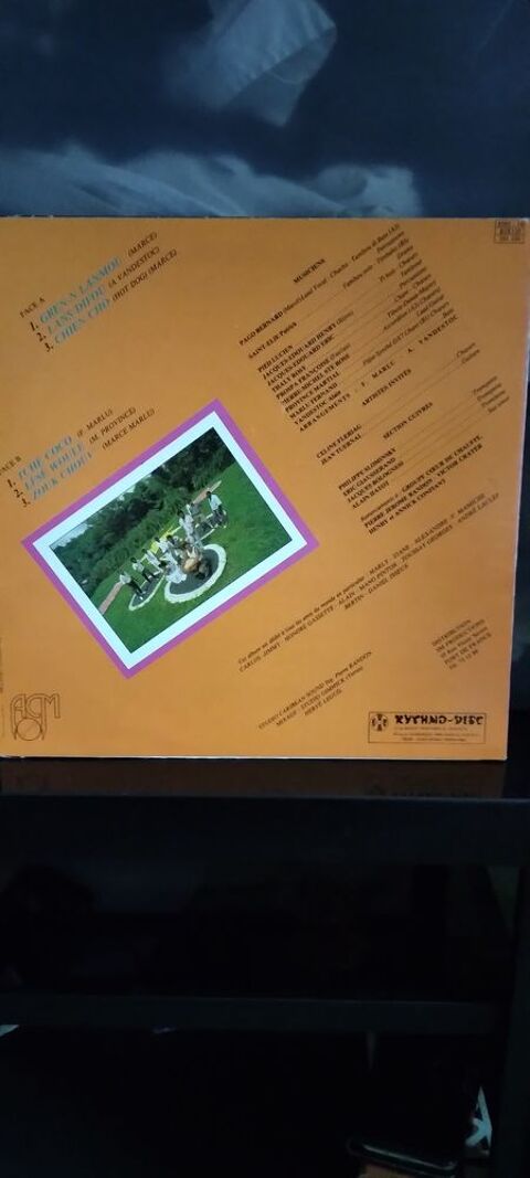 UN ALBUM DE MUSIQUE TROPICALE 5 Brie-Comte-Robert (77)