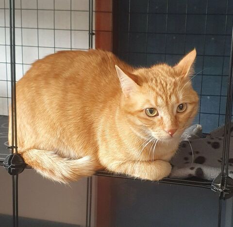 CHARLY 285 91310 Longpont-sur-orge