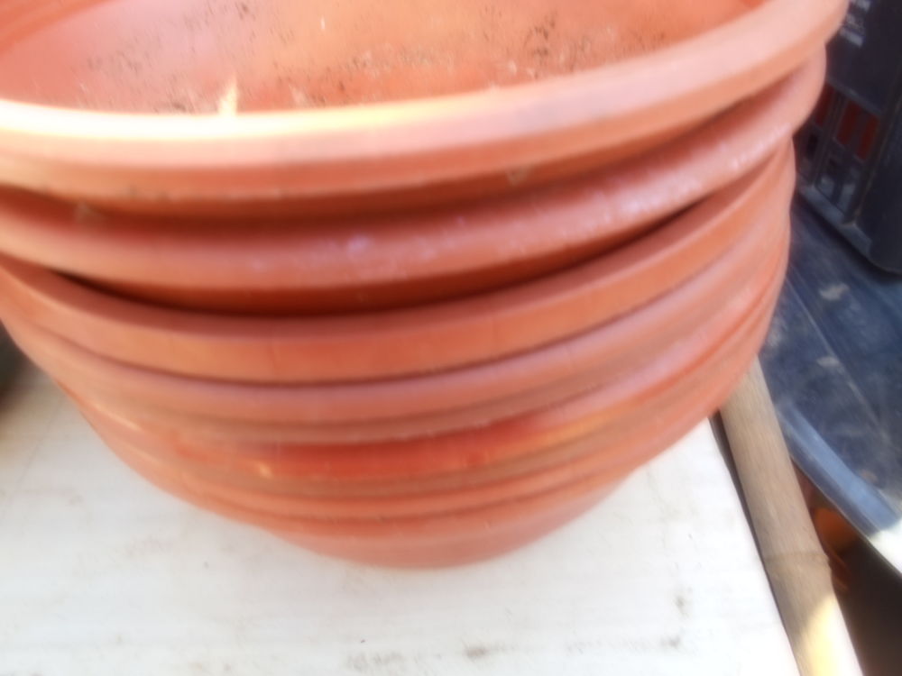 coupe de fleurs Jardin