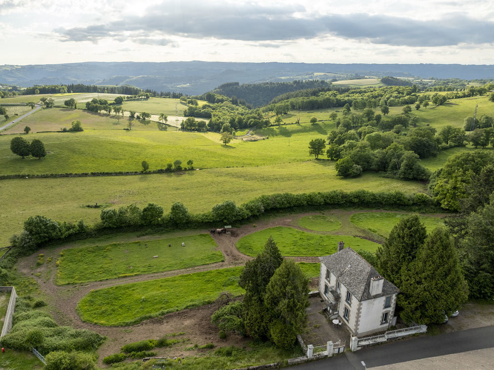 Vente Maison Maison de maître + 1,36 ha Saint-hippolyte