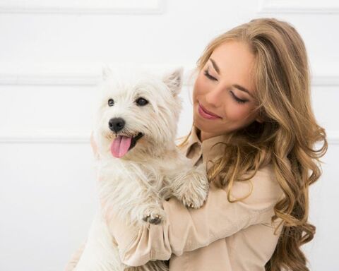Passionn&eacute;e d'animaux je propose mes comp&eacute;tences. 0 45200 Montargis