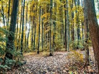  Terrain � vendre 3346 m�