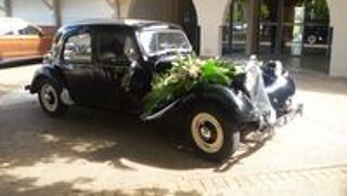 1955 occasion 40280 Saint-Pierre-du-Mont