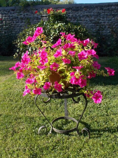 Belle SELLETTE PORTE-PLANTES en FER FORG, Envoi ok Cazres (31)