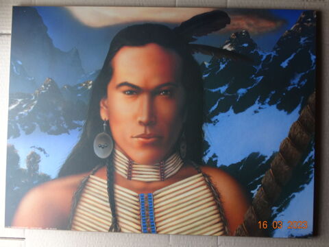 -	n°2 TABLEAU PORTRAIT INDIEN - affiche  sur mélamine 25 Souppes-sur-Loing (77)