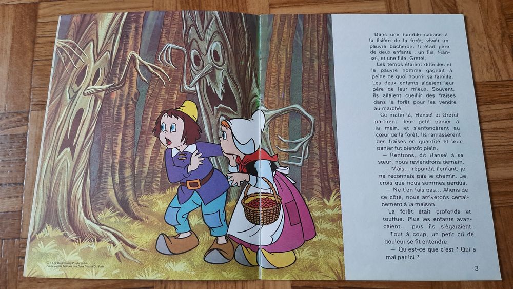 Livre Hansel et Gretel ? Walt Disney Livres et BD