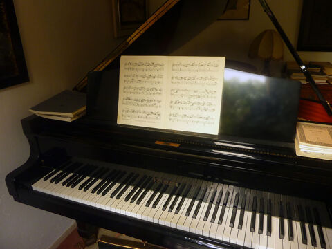 Piano d'exception. Magnifique FEURICH 3/4 de queue de 1985 30000 Vznobres (30)