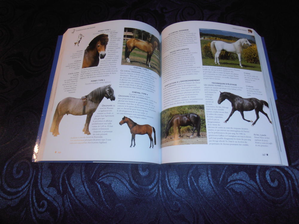 L'encyclop&eacute;die des chevaux et poneys (29) Livres et BD