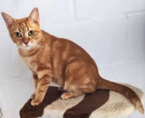 SILVI 230 27620 Gasny