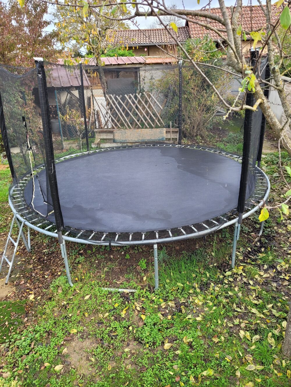 Trampoline Sports