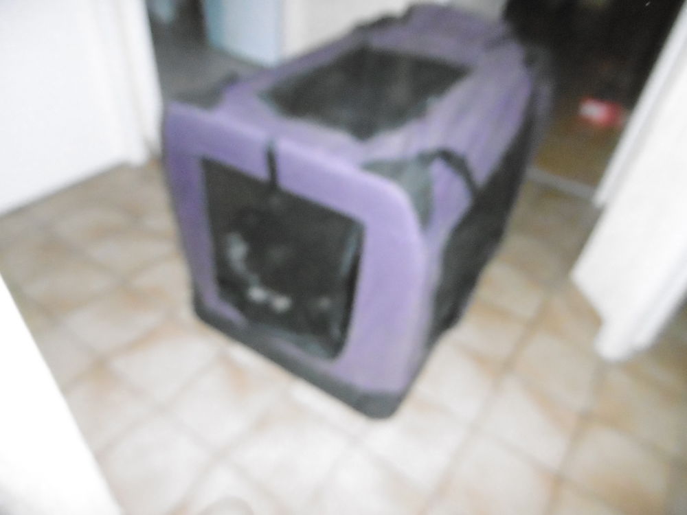 CAGE pour chats ou petit chien Bricolage