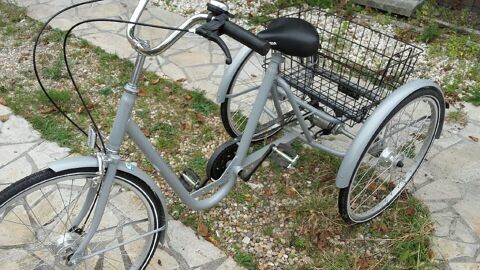tricycle thrapeutique tat neuf 0 Royan (17)