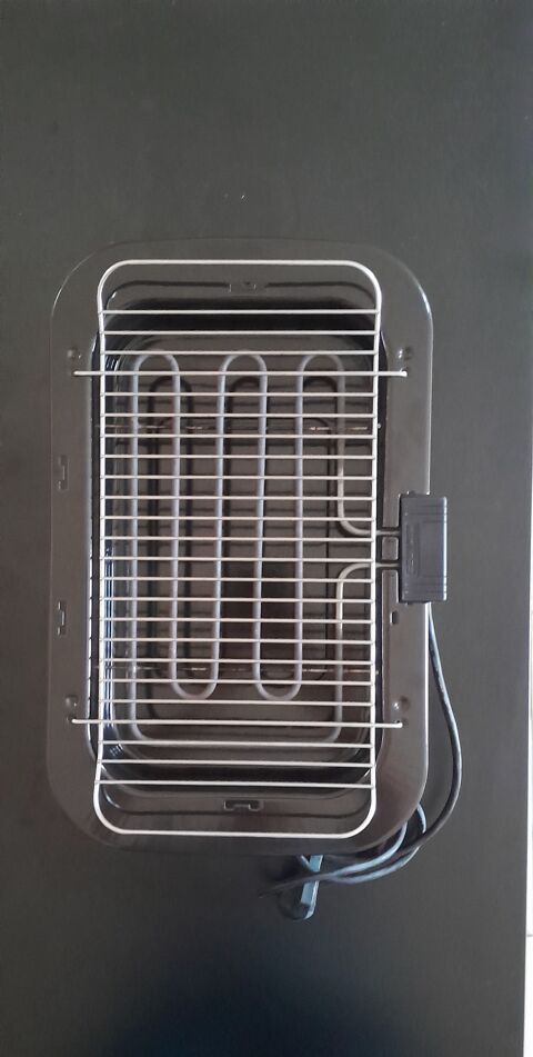 Barbecue electrique 15 Argent-sur-Sauldre (18)