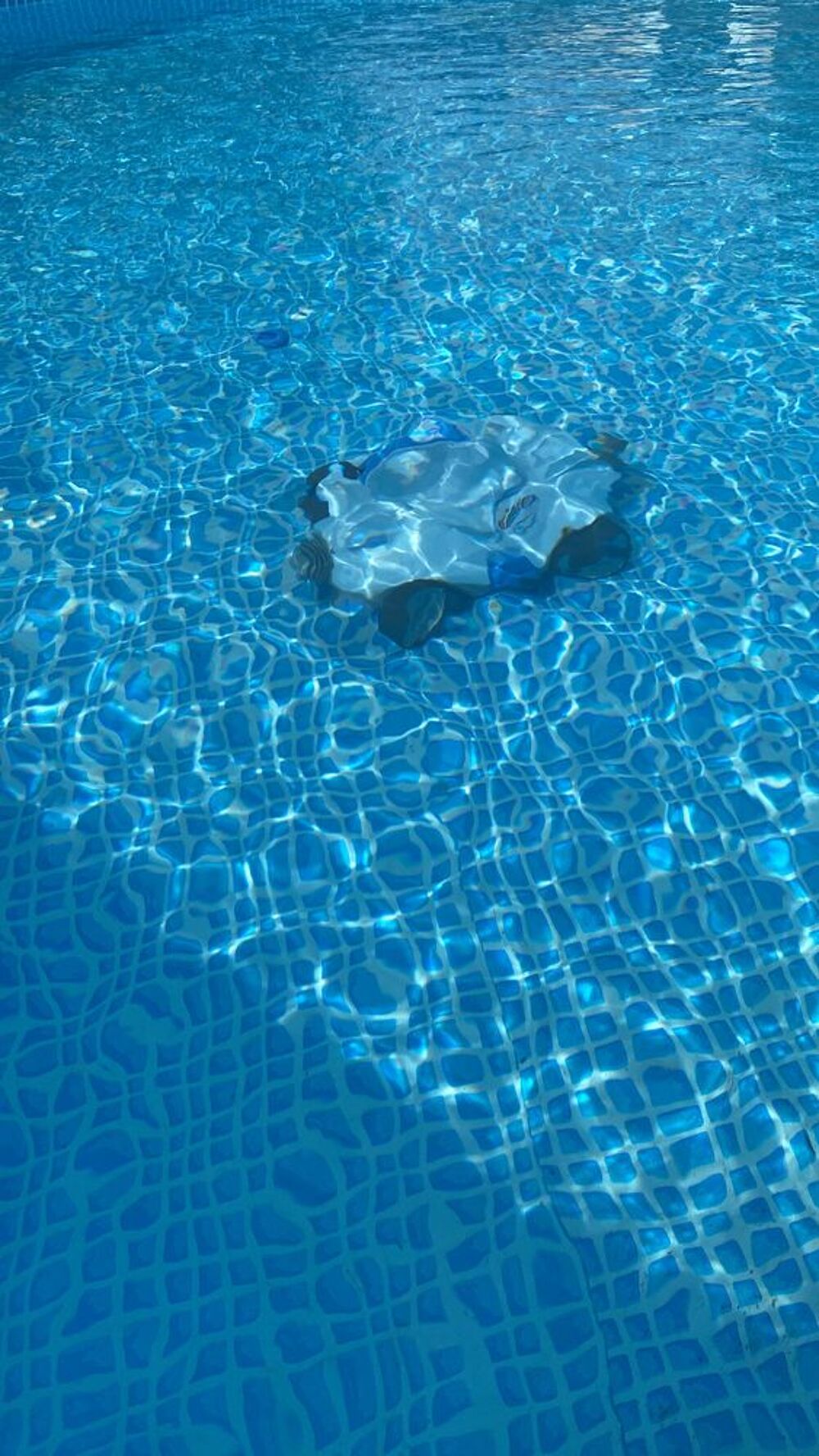 Piscine hors sol Jardin