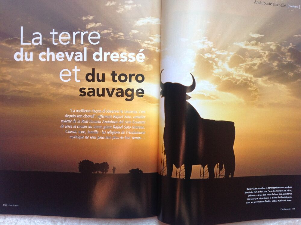 M&Eacute;DITERRAN&Eacute;E MAGAZINE ANDALOUSIE Envoi Possible
Livres et BD