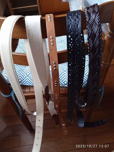 diverses ceintures 1 Olivet (45)