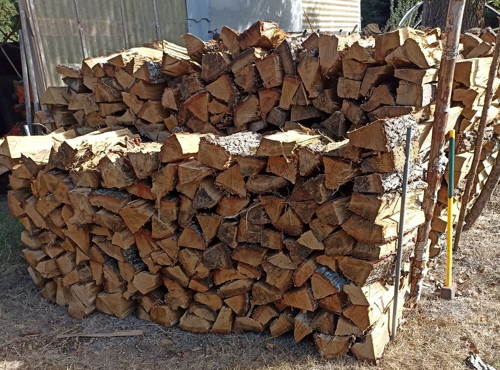 Vente st&egrave;re ch&ecirc;ne 45-50 cm Jardin