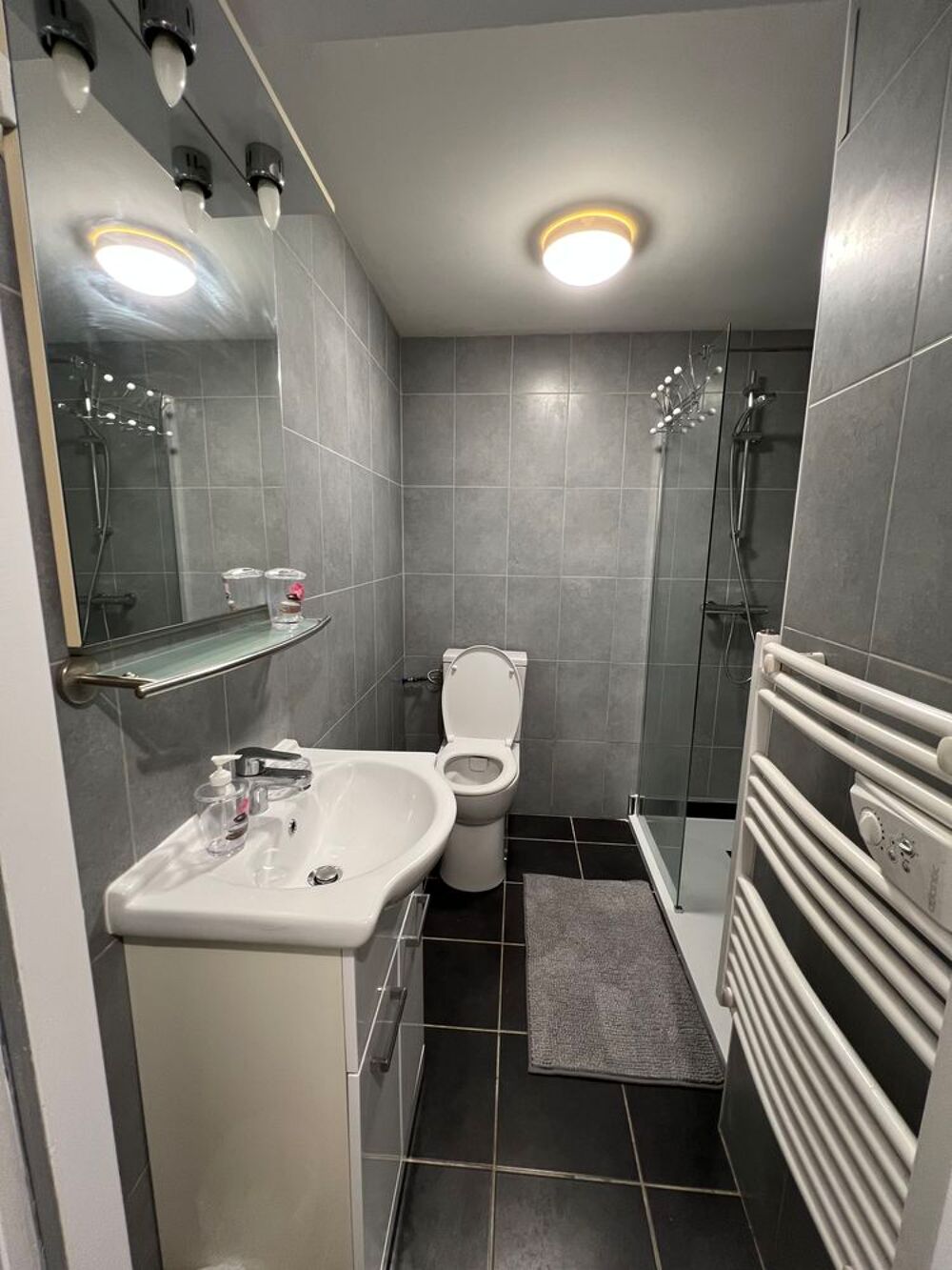 Location Appartement T2 meublé 42 m² avec terrasse - Proche centre-ville Voiron Voiron
