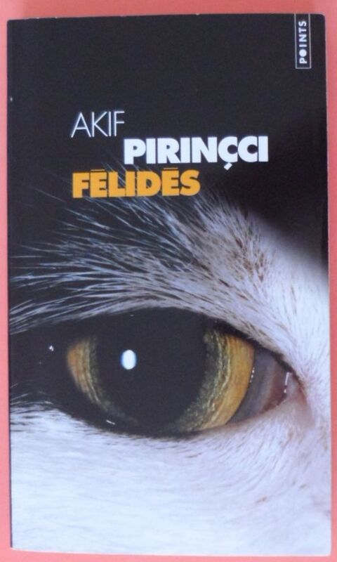 Roman Flids 1 Valenciennes (59)