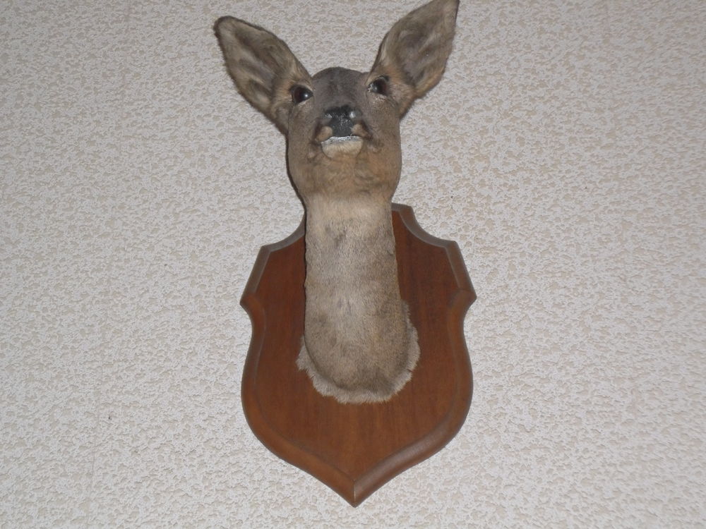 d&eacute;coration pour mur ou chemin&eacute;e Décoration