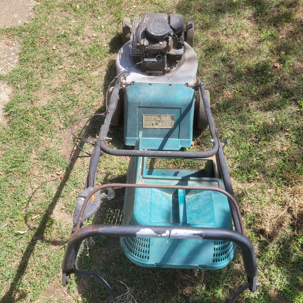 Tondeuse gazon Jardin