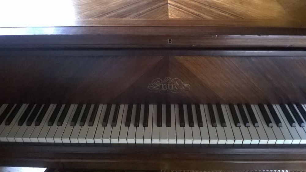 PIANO GRAND QUART QUEUE Instruments de musique