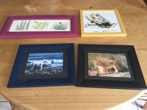 Cadres - Lot de 4 15 Toulouse (31)