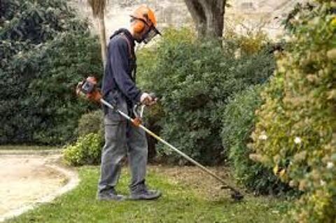 Entretien de l'Habitat et des Espaces verts 0 70300 Luxeuil-les-bains