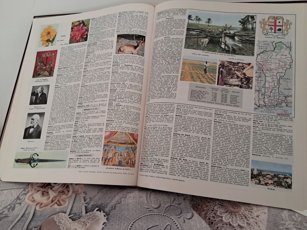DICTIONNAIRE LAROUSSE DE 6 VOLUMES. Livres et BD